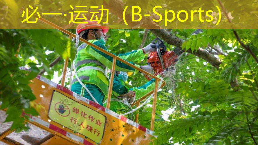 网球拍内发泡是什么材料
