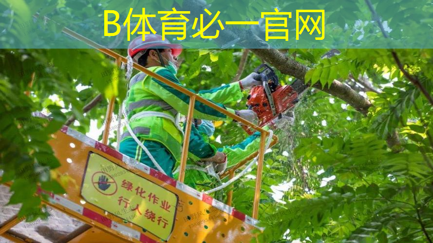 网球拍穿线机手摇电脑区别