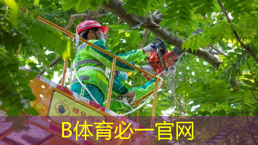 网球拍底胶的作用是