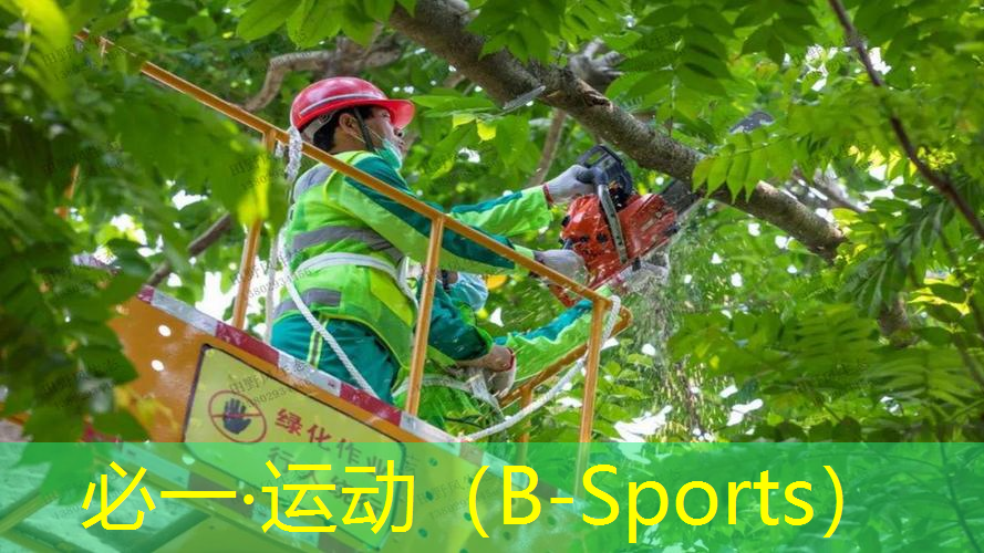 王子网球拍骷颅版