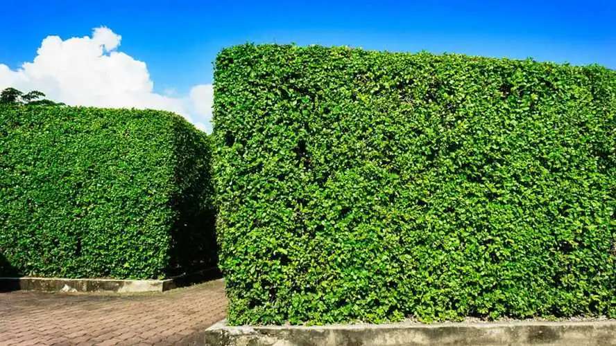 锦织圭用网球拍的重量