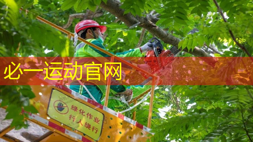 田径器材使用现状